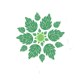 авторсий орнамент