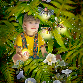 Сказка летней ночи