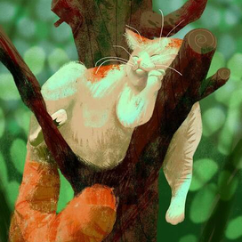 Кот на дереве