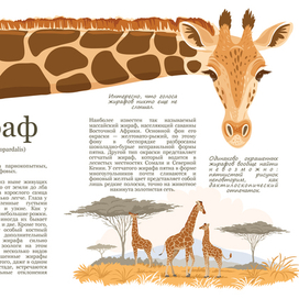 Разворот книги о животных Африки