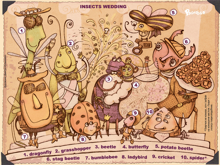 Свадьба буках