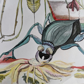 Жук. Летний укус