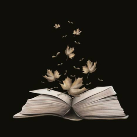 Магическая книга