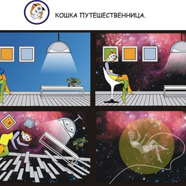 Кошка путешественница.