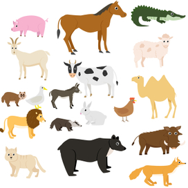 Животные. Иллюстрации для детских пособий.