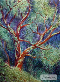 Бесстыдницы. 2011