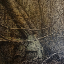 Кабанятник