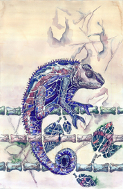 Застывший мир