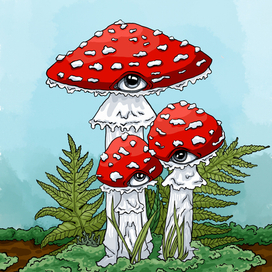 Мухоморы-наблюдатели