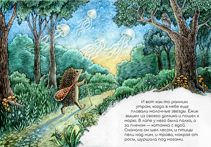 Ёжик и море