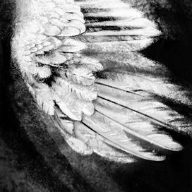 Иллюстрация к стихам