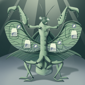 Богомол приглашает к чаю