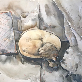 Дождливый день 