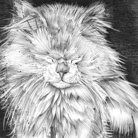 Шариковая ручка .