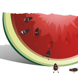 Арбузные семечки в домике