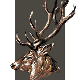 Векторная графика "Олень"