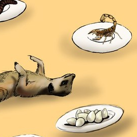 Меню вольного суриката