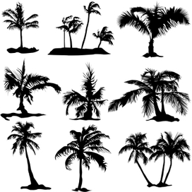 Набор силуэтов пальм