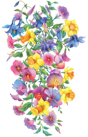 декоративные цветы