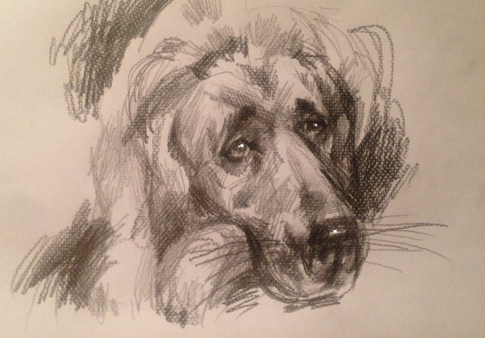 Who Is Stop The Rain