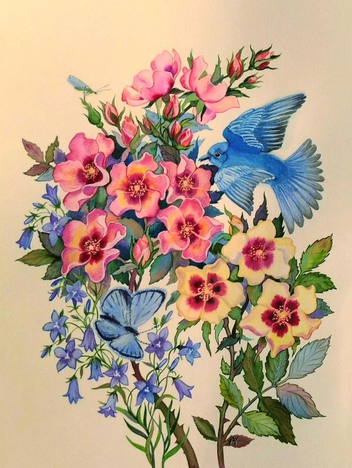 Голубая сиалия цветы, букет