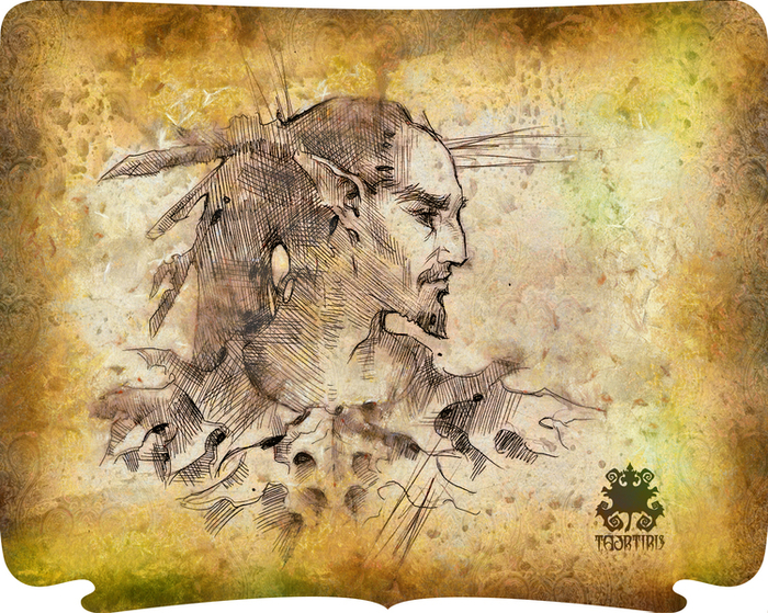 TAURTIRIS ™   i    СООБЩЕНИЕ