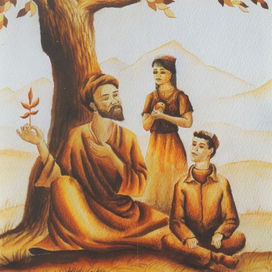 Взгляни на мир разумными глазами