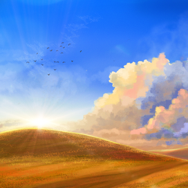 В солнечных лучах