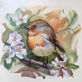 маленькие птицы