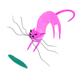 Один день из жизни Пинки