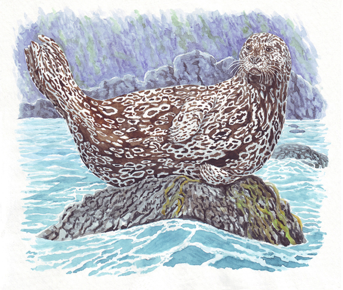 Жив, курильский курилка!