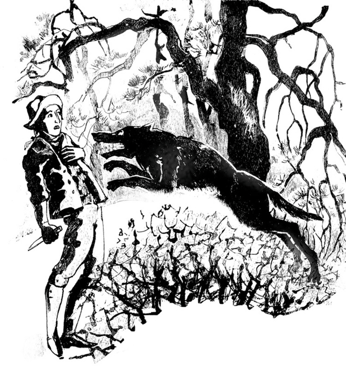 новелла Э.Т. А. Гофмана "Майорат" иллюстрация. нападение волка.