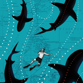 Иллюстрация к книге С.Курилова "Один в океане"