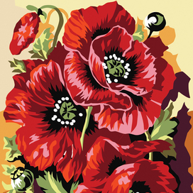 Раскраски по номерам