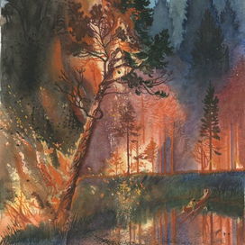 Лесной пожар