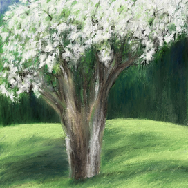 что чувствует цветущая яблоня