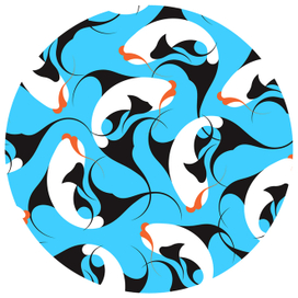 Турецкие рыбки