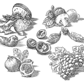 Овощи, фрукты, прочие продукты