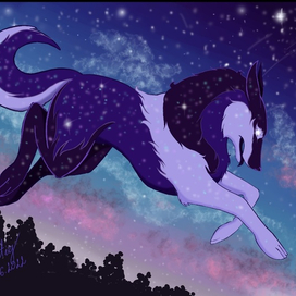 The spirit of the night forest 