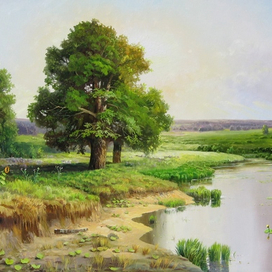 Дубы у пруда 