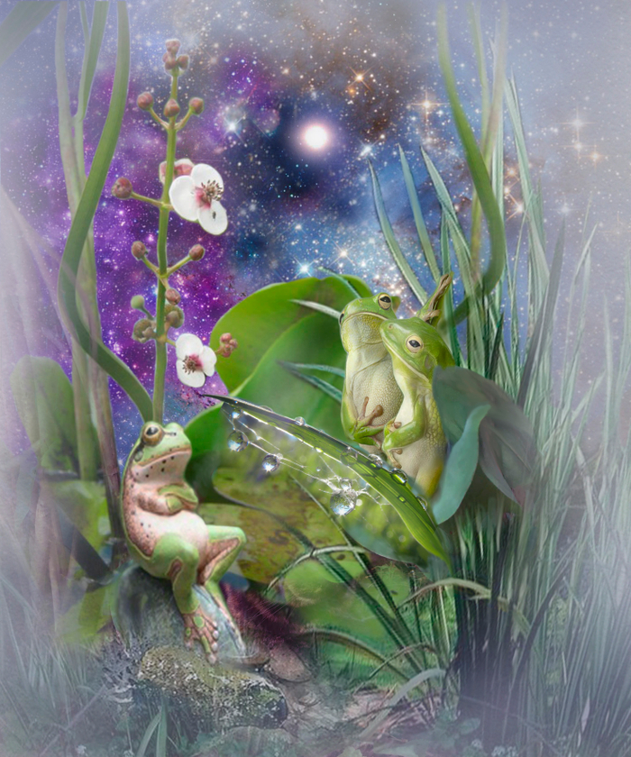 Загадываем дождь!