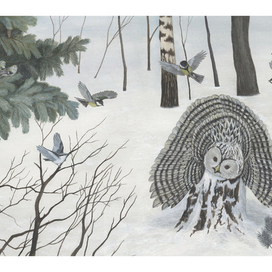 Лесные разведчики