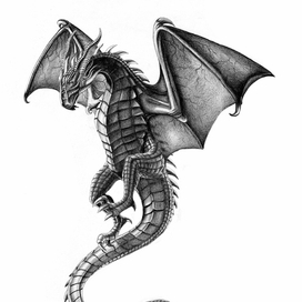 Дракон