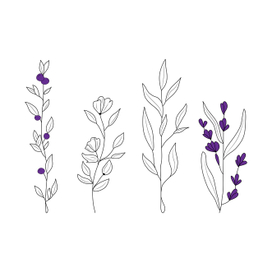 minimal botanical graphic sketch drawing, trendy tiny tattoo design, floral elements vector illustration	