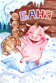 водолей. год свиньи