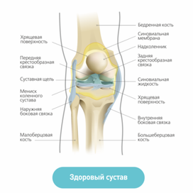 Медицинская инфографика