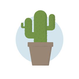 Кактус