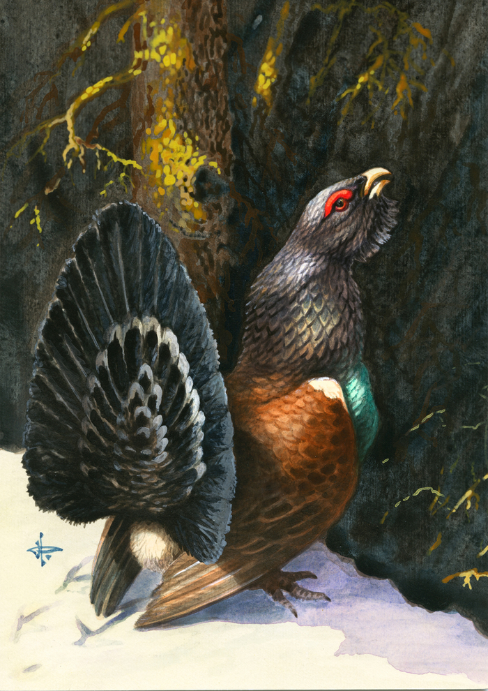 Жду весну...