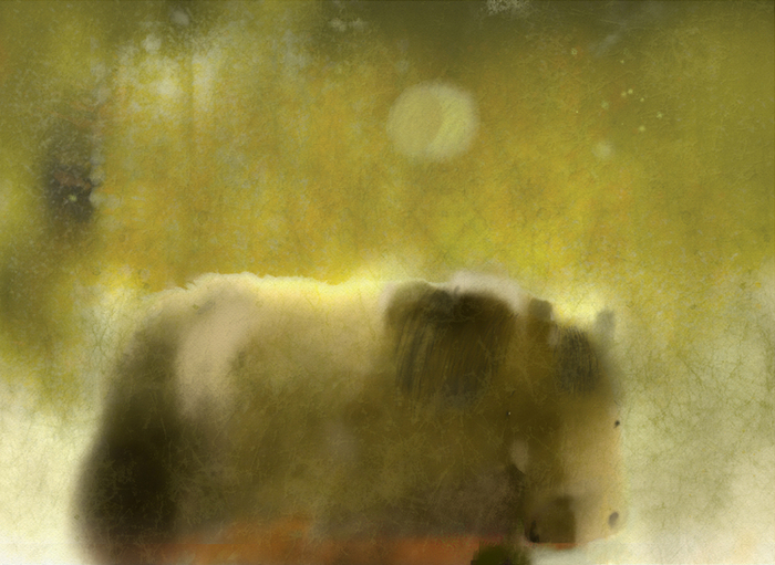 Двенадцать  месяцев скачек - это вам не шутки!