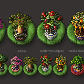 Деревья мира